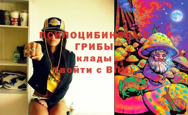 спайс Касимов