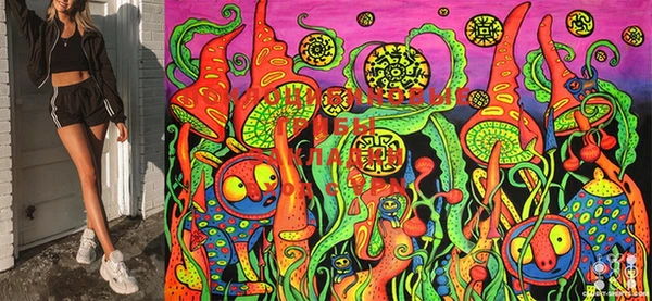 mdma Карталы