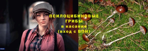 гашиш Карпинск