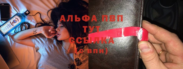 спайс Касимов
