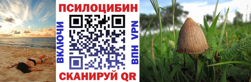 Псилоцибиновые грибы MAGIC MUSHROOMS  Купить где  Горячий Ключ 